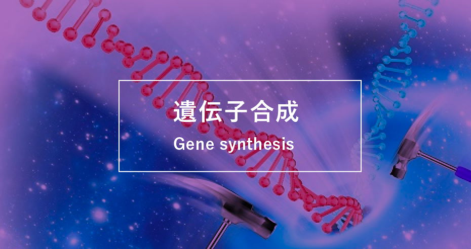 遺伝子合成に関するページ