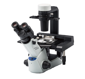 オリンパス 倒立顕微鏡 CKX53