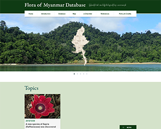 å›½ç«‹ç§‘å­¦å�šç‰©é¤¨æ§˜ Flora of Myanmar Database
